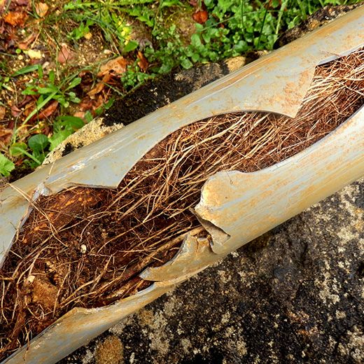Same Day Drain Sewer & Rooter Pros Across Rumney